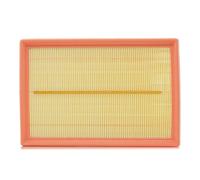 FILTRON AP 074/9 Filtre à air