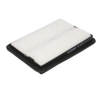 FILTRON AP 124/5 Filtre à air du moteur Cartouche filtrante