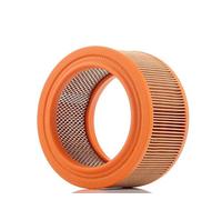 FILTRON AR247/1 Compartiment Moteur