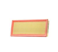 Filtron Filtre à air AP002