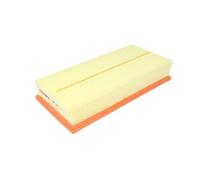 Filtron Filtre à air ap021