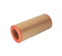 Filtron Filtre à air, ar234/2