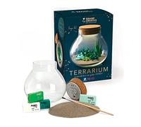 Fimo Kit Terrarium