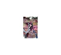Final Fantasy Lost Stranger, Vol. 11