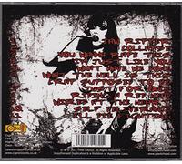 Final Silence - We are This for A Reason [Import]