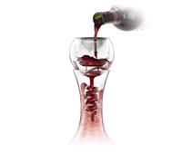 Final Touch Glass Twister Aerator Attachement - Compatible avec la Plupart des décanteurs de vin Comprend Acier Inoxydable sédiment Filtre/aérateur de vin/Stand