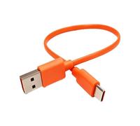 FinalCool USB C Câble Chargeur 25cm Compatible avec JBL Charge 4/5, Charge 6, Flip 5, Flip 6, Flip 7, Pulse 4, Pulse 5, Clip 4, Clip 5, JR POP, GO 4, Xtreme 3, Câble de Charge USB de Type C, Orange