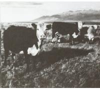 Kozelek, Mark - Finally LP [Import]