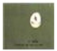 Finally we are no one