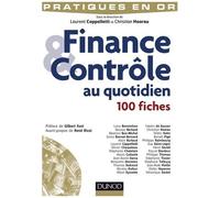 Finance & Contrôle Au Quotidien - 100 Fiches
