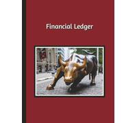 Financial Ledger: Finance Log Book for Organizing and Tracking Accounts, Passwords, Expenses, Income, and Banking Information in One Place | 8.5 x 11, 128 pages