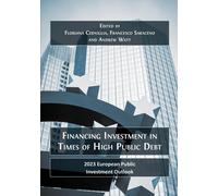 Financing Investment In Times Of High Public Debt