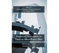 Financing Investment In Times Of High Public Debt