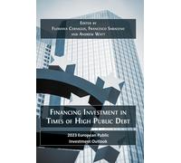 Financing Investment In Times Of High Public Debt
