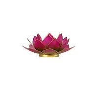 Find Something Different Bougeoir Veilleuse Lotus en Capiz Vert/Rose Bordure Dorée