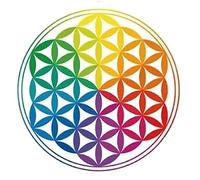 Find Something Different Fleur de Vie Multicolore Karma Range Stickers Fenêtre Bambou Multicolore 16 x 13,5 x 0,5 cm