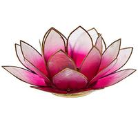 Find Something Different Lotus Photophore Capiz pour Bougie Chauffe-Plat Rose Clair