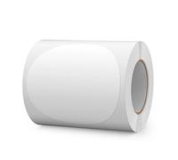 FINDAT Étiquettes Autocollantes Rondes 100 mm Blanc Rouleau Vinyle 300 Gommettes Imperméable Écriture Marqueur pour Déménagement Bureau