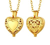 FindChic Collier Pendentif Coeur Médaillon de Crémation Pendentif Urne Chat/Chien/Humaines pour Cendres Femme Homme Acier Inoxydable Or Peut être Ouvert Chaine 50+5cm
