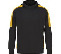 Finden & Hales - Sweat à capuche "Team" pour homme/femme unie RW9610 (M) (Noir/Or)