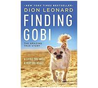 Finding Gobi