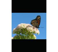 Finding Your Inner Serenity: Being Able To Deal With Everything Life Throws At You