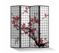 Fine Asianliving Paravent Séparation de pièce Mur espagnol Room Divider Séparateur de pièce Protection visuelle Japonais Oriental Chinois L160xH180cm Toile imprimée double face Asiatique