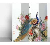 Fine Asianliving Paravent Séparation de pièce Mur espagnol Room Divider Séparateur de pièce Protection visuelle Japonais Oriental Chinois L160xH180cm Toile imprimée double face Asiatique