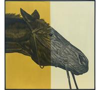 Fine Asianliving Peinture à l'huile 100% Sculpté à la main 3D Texture Cadre Noir 100x100cm Cheval