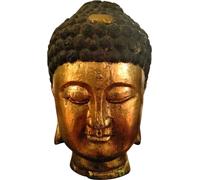 Fine Asianliving Statue de Bouddha japonais, tête, tronc d'arbre doré, D40xH65cm