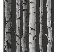 Fine Decor Wallpaper 31051 effet du bouleau, Naturel, FD31052
