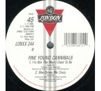 FINE YOUNG CANNIBALS - i'm not the man i used to be 12