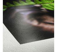 Hahnemühle Papier Photo Rag pearl 320g 44 pouces