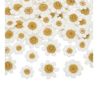 FINGERINSPIRE 80Pcs Patch de Fleurs de Marguerite Au Crochet 3 Tailles Blanc à Coudre à la Main pour Sacs Chapeaux Jeans Vestes Vêtements Accessoires