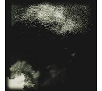 Fink-Fall Into the Light Pilgrim 12"|"Fink