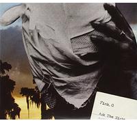 Fink, Orenda - Ask the Night