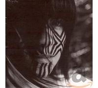 Fink, Orenda - Invisible Ones