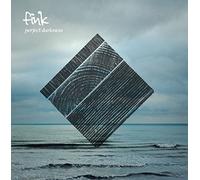 Fink - Perfect Darkness