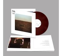 Fink – The City Coming to Erase It All – Vinyle coloré – Édition limitée