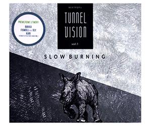 Fink - Various Artists: Nextpops Tunnel Vision - Slow Burning (digipack) [CD]