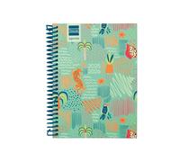 Finocam Agenda Diva Cours 2025/2026 Vue hebdomadaire horizontale Septembre 2025 à juin 2026 (année scolaire) + juillet et août résumés Jungle espagnole