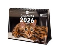Finocam - Calendrier de bureau 2026 1 Mois par page Janvier - Décembre 2026 + Sept.-Déc. 2025 (4 mois) réduits | Calendrier 2026 | Images Cats - International