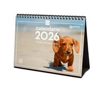 Finocam - Calendrier de bureau 2026 mois vue janvier - décembre 2026 + septembre 2025 (4 mois) réduits | Calendrier 2026 | Images chiots - Espagnol