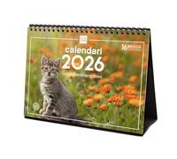 Finocam - Calendrier de bureau 2026 mois vue janvier - décembre 2026 + septembre 2025 (4 mois) réduits | Calendrier 2026 | Images Chatons - Catalan