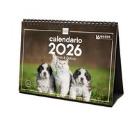 Finocam - Calendrier de bureau 2026 mois vue janvier - décembre 2026 + sept. - Déc. 2025 (4 mois) réduits | Calendrier 2026 | Images Chiens et Chats - Espagnol