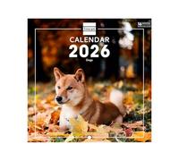 Finocam - Calendrier mural 2026 18 x 18 cm 1 Mois par page Janvier - Décembre 2026 + Sept.-Déc. 2025 (4 mois) réduits | Calendrier 2026 | Images Dogs - International