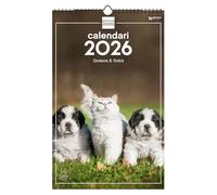 Finocam - Calendrier mural 2026 25 x 40 cm Mois vue Janvier - Décembre 2026 + Sep.- Déc. 2025 (4 mois) réduits | Calendrier 2026 | Images Chiens et Chats - Catalan