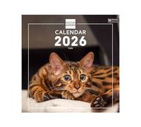 Finocam - Calendrier mural 2026 30 x 30 cm 1 Mois par page Janvier - Décembre 2026 + Sept.-Déc. 2025 (4 mois) réduits | Calendrier 2026 | Images Cats - International