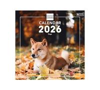 Finocam - Calendrier mural 2026 30 x 30 cm 1 Mois par page Janvier - Décembre 2026 + Sept.-Déc. 2025 (4 mois) réduits | Calendrier 2026 | Images Dogs - International