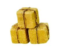 Fiocias 3 Pièces Mini Botte de Foin Accessoire Résine Décor Maquette Artisanat Modélisme Convient pour Salon Bureau Jardin Miniature, Carré 2.5 X 2.5 X 2.5 Cm